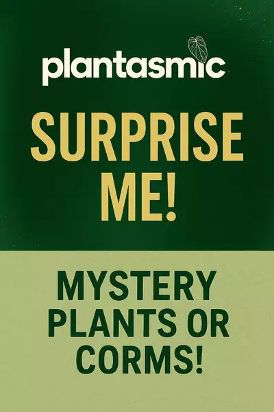 plant/Surprise Me!-0-thumbnail