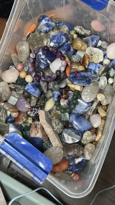 plant/1lb Reg Scoop-0-thumbnail