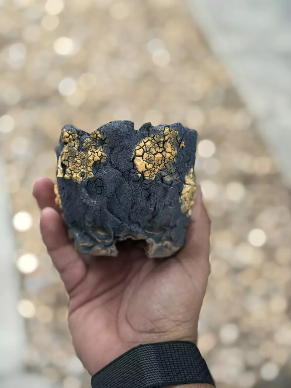 plant/Black and Gold Spots footed 3.5x3.5-0