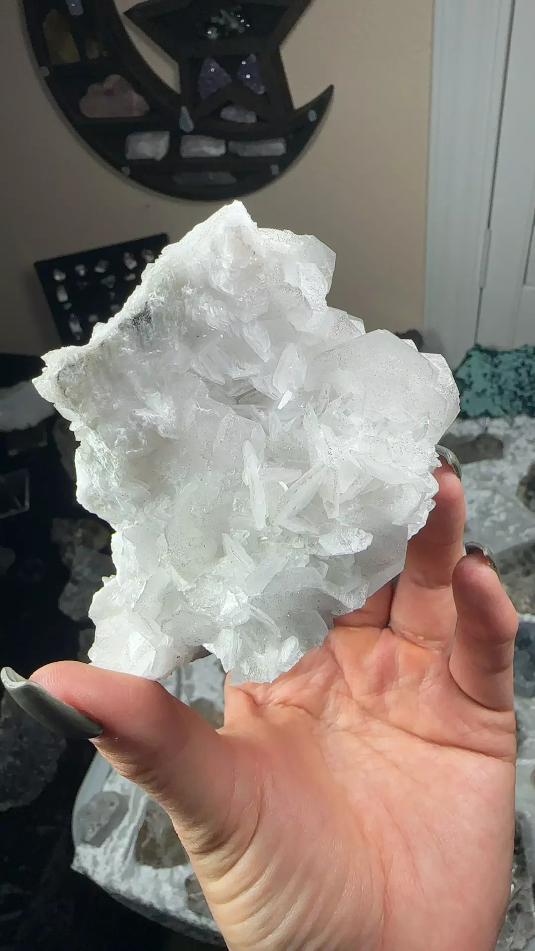 plant/Angel wing calcite with pyrite-0