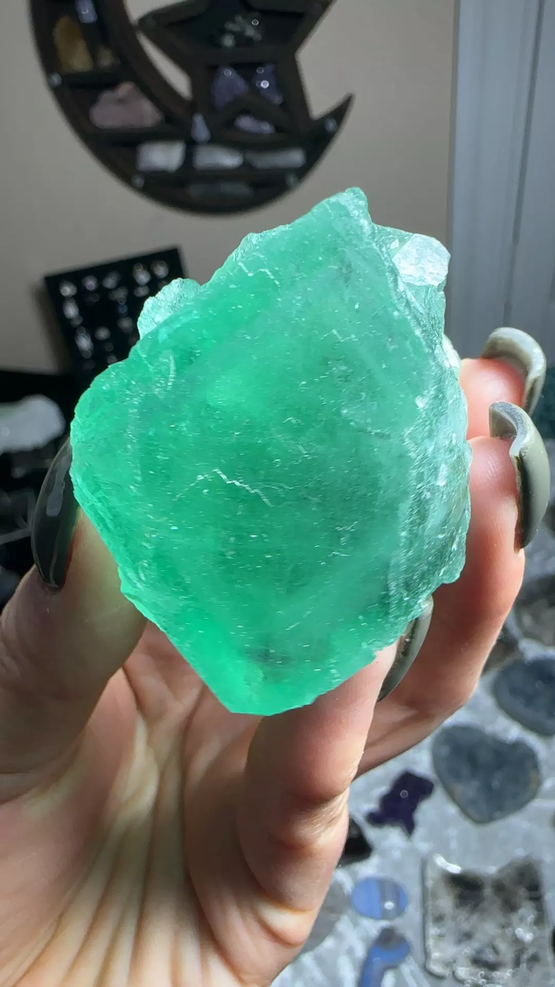 plant/Fluorite 42-0