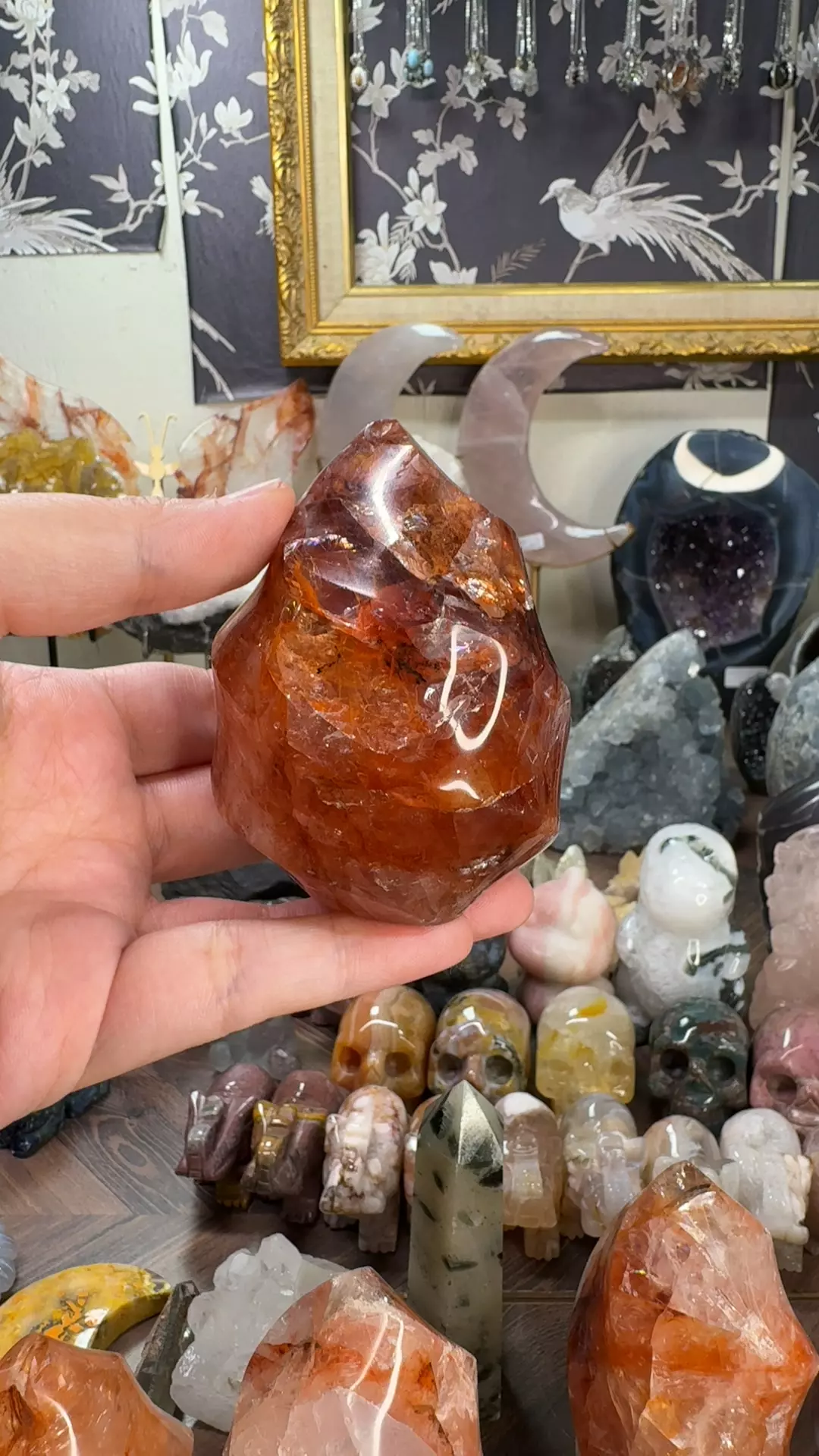 plant/FQ Flame #10 (chipped)-0