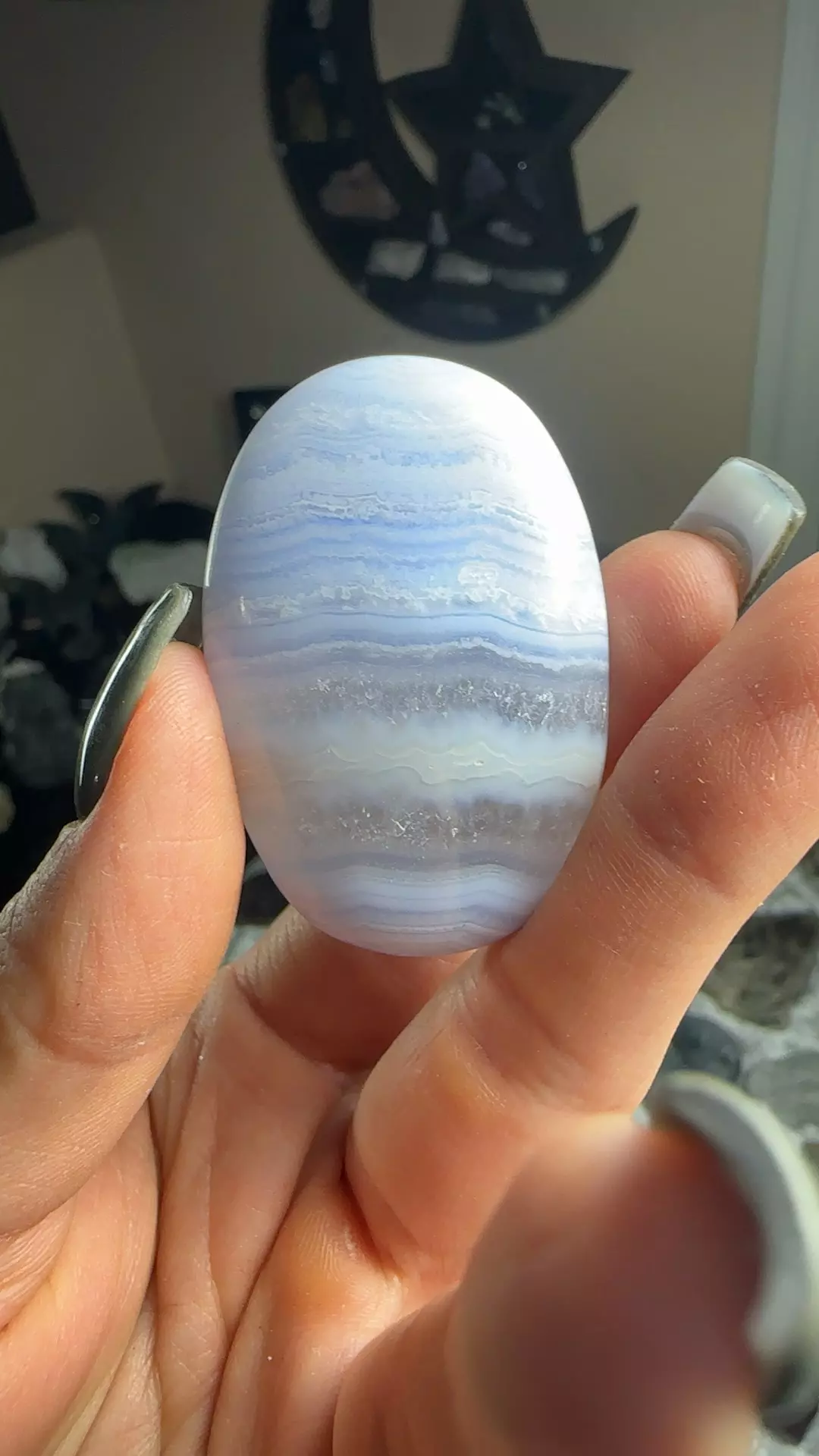 plant/Blue lace agate-0
