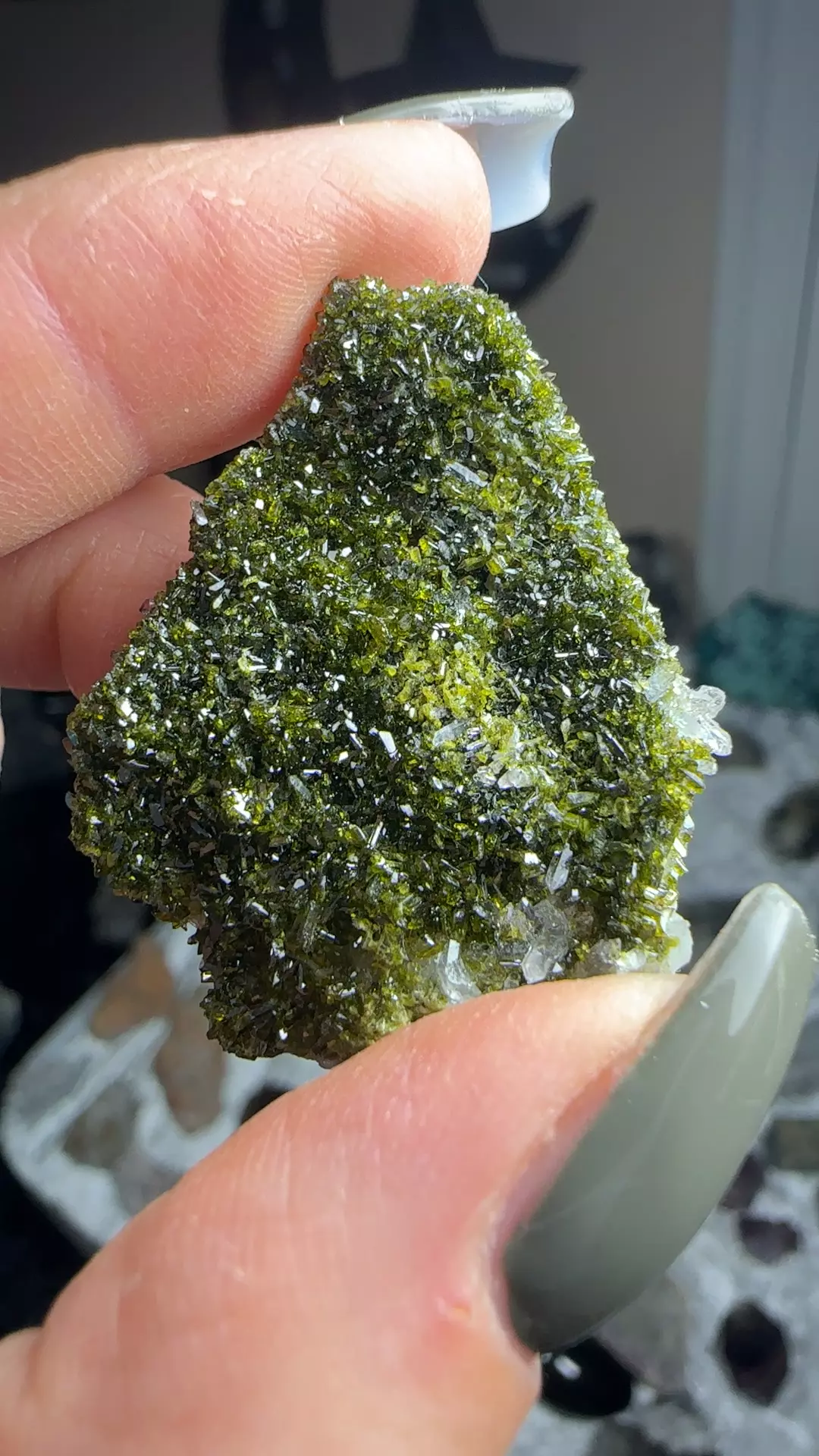 plant/Epidote-0