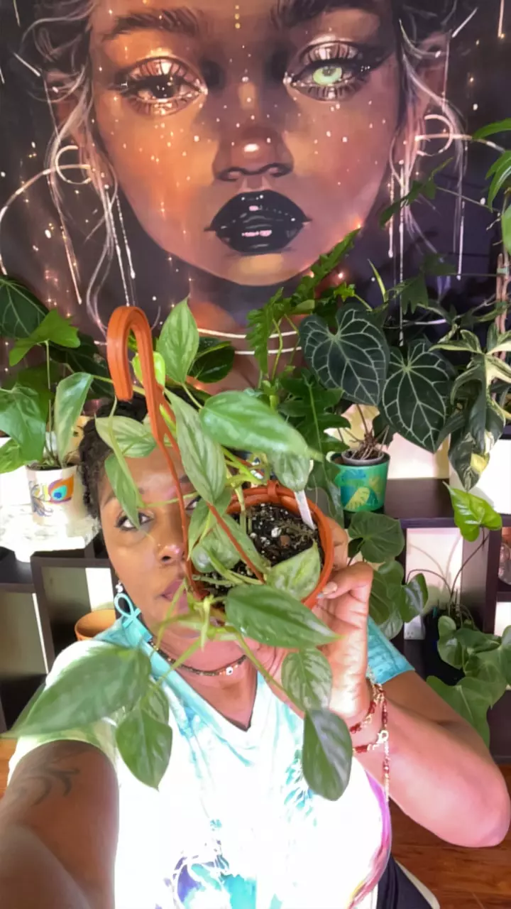 plant/Phil Sodiroi basket-0