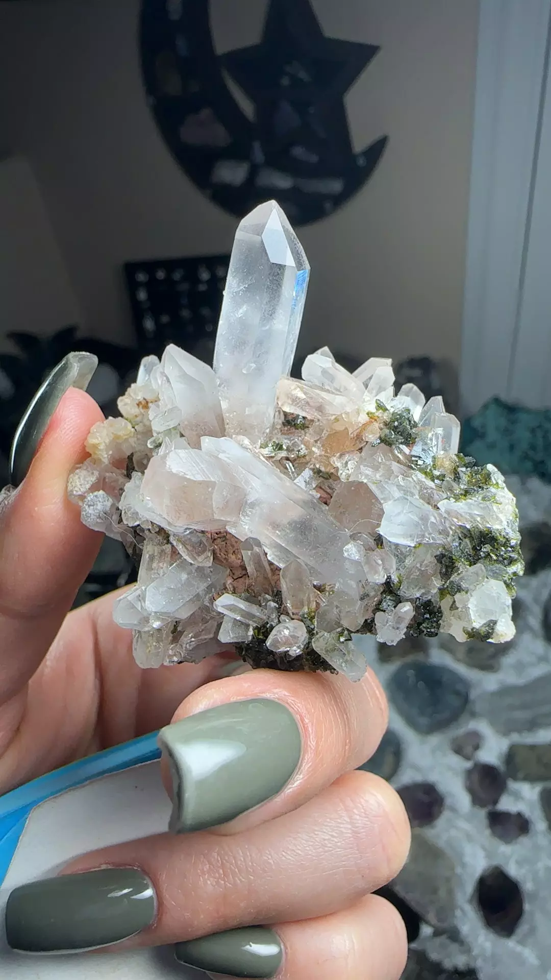 plant/Epidote Quartz-0
