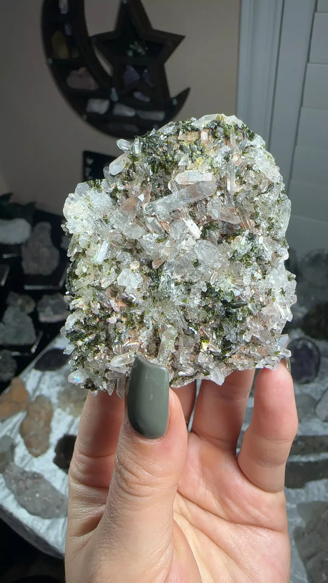 plant/Epidote Quartz-0