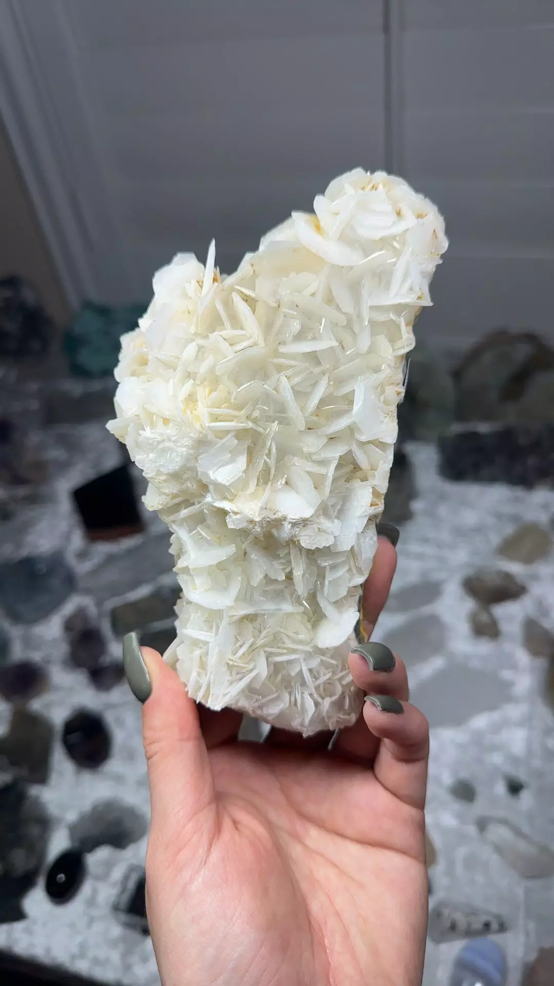 plant/Angel wing calcite-0