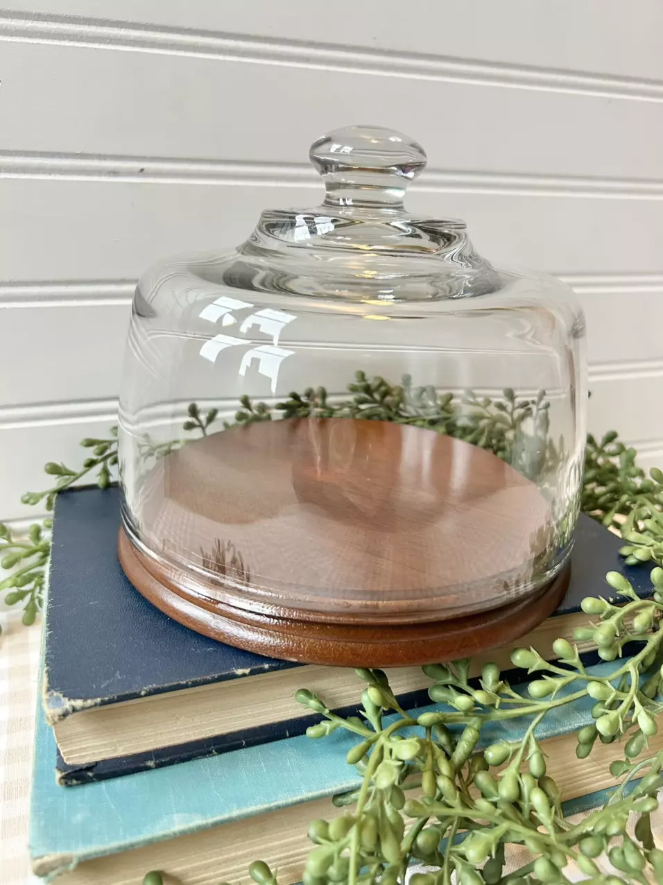 plant/glass cloche and wooden base-1
