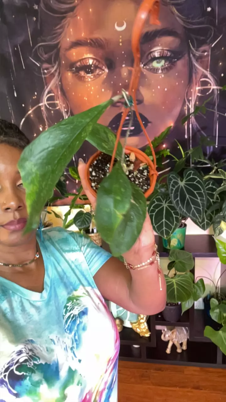 plant/H. Chicken Farm-0