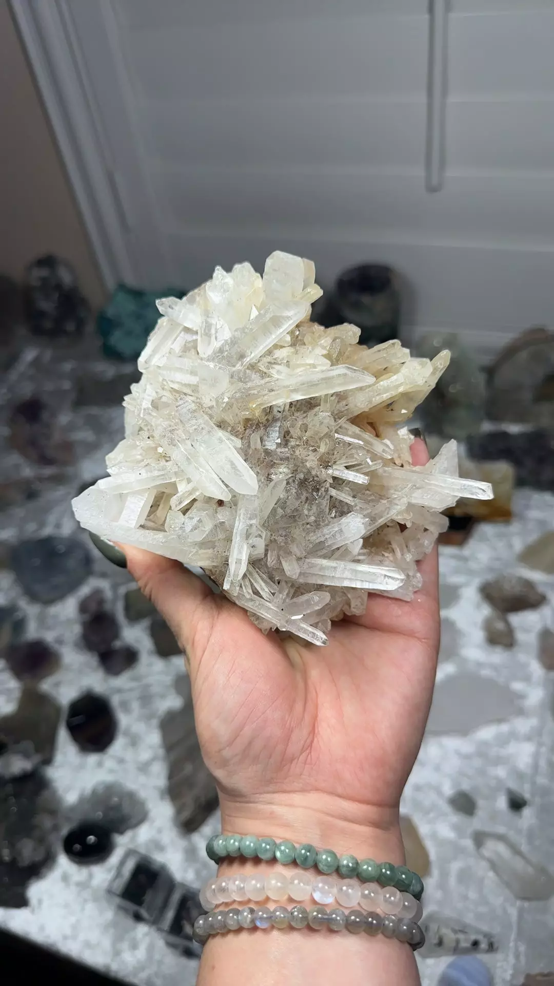 plant/Quartz-0
