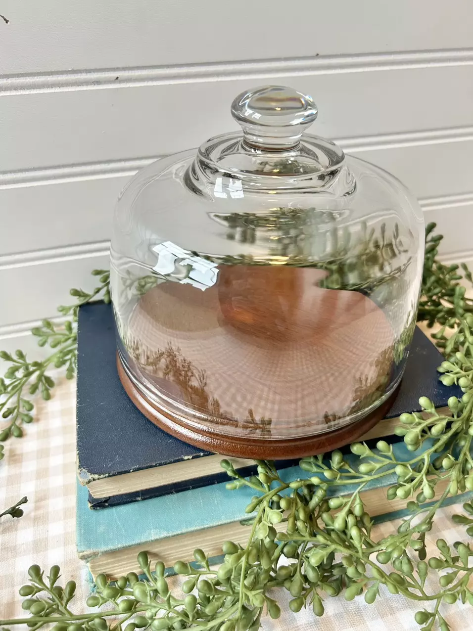plant/glass cloche and wooden base-0