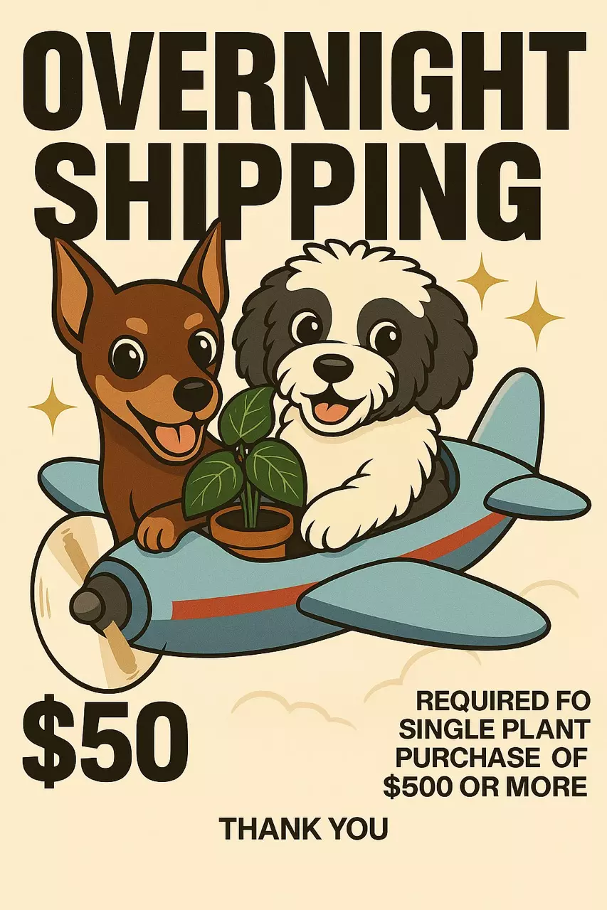 shipping_upgrade/Overnight Shipping Upgrade-0