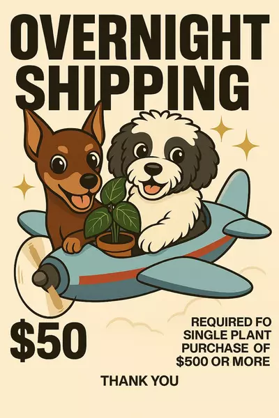 shipping_upgrade/Overnight Shipping Upgrade-0-thumbnail