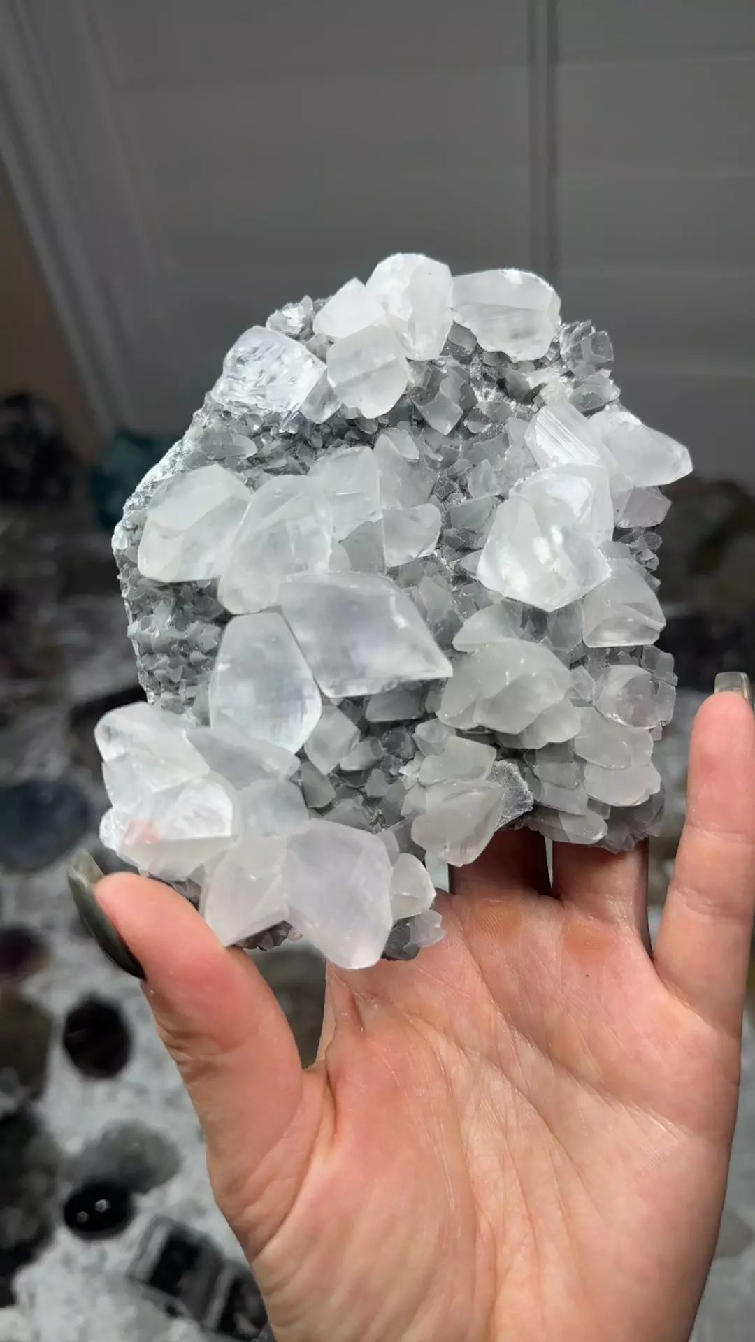 plant/Grey uv calcite-0
