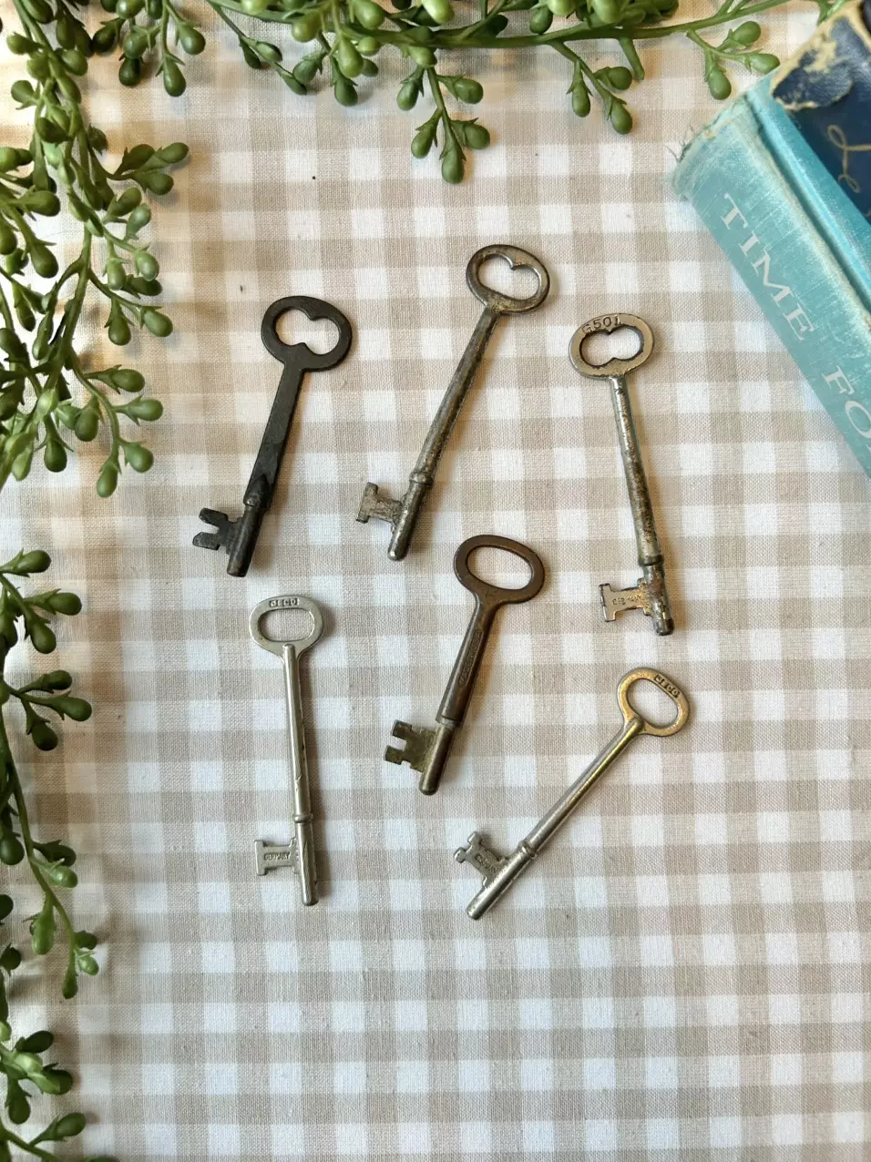 plant/large skeleton keys-0