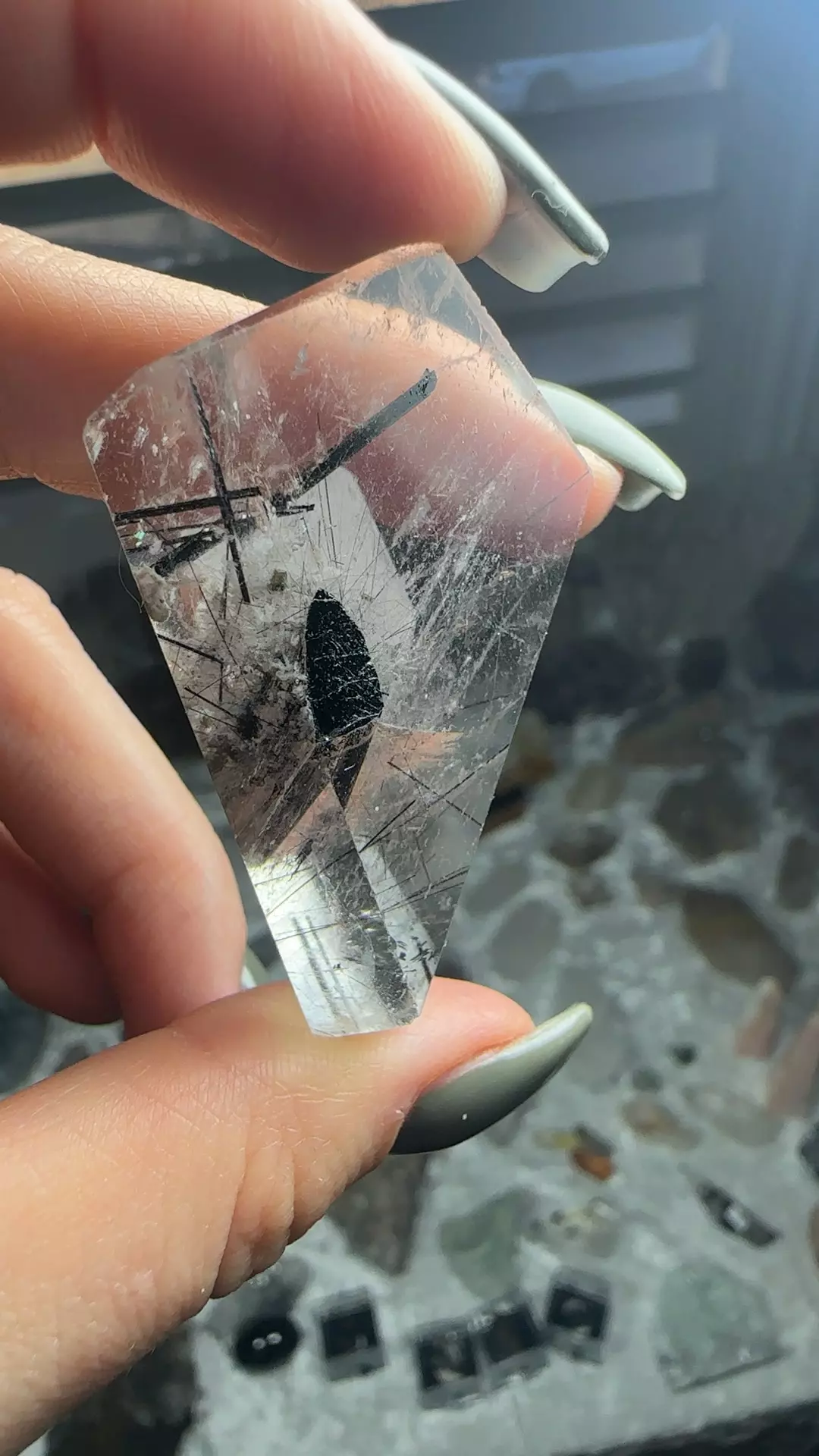 plant/Black tourmaline quartz-0