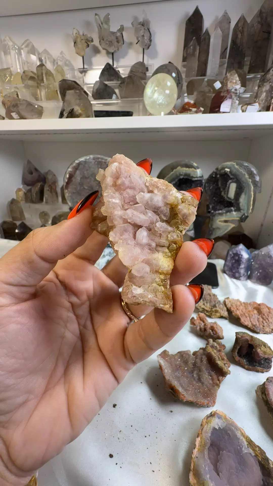 plant/O8.125 Pink Chalcedony from Morocco-0