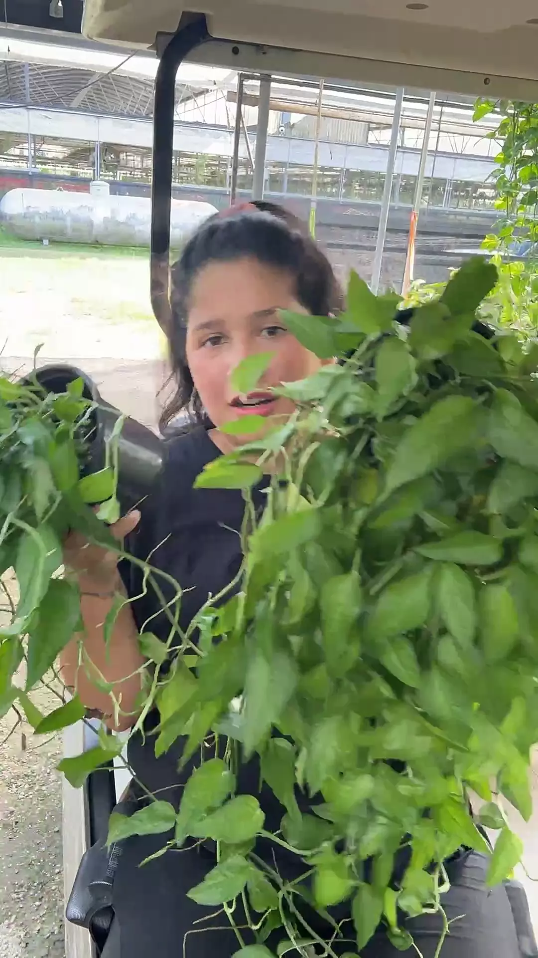 plant/Xl epi skeleton key-0