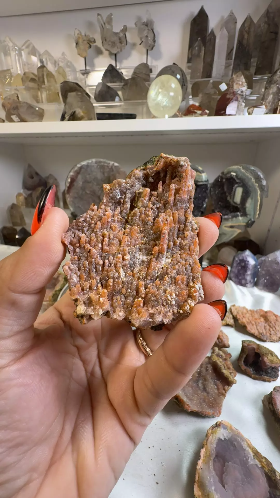 plant/O8.147 Pink Chalcedony from Morocco-0