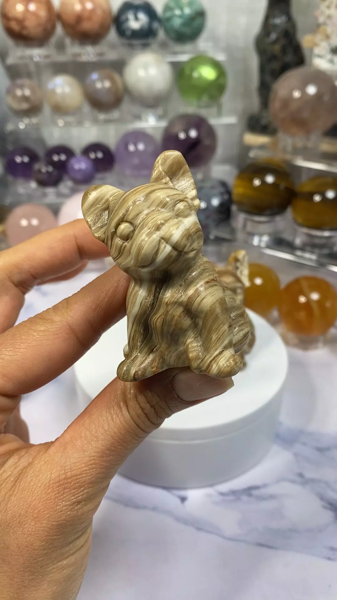 plant/Amber calcite French Bulldog #1-0