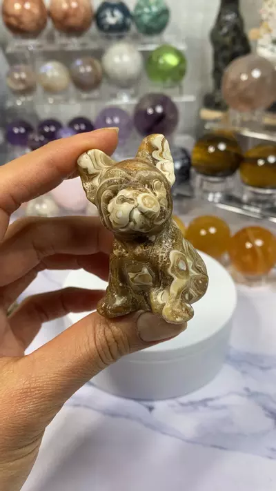 plant/Amber calcite French Bulldog #2-0-thumbnail