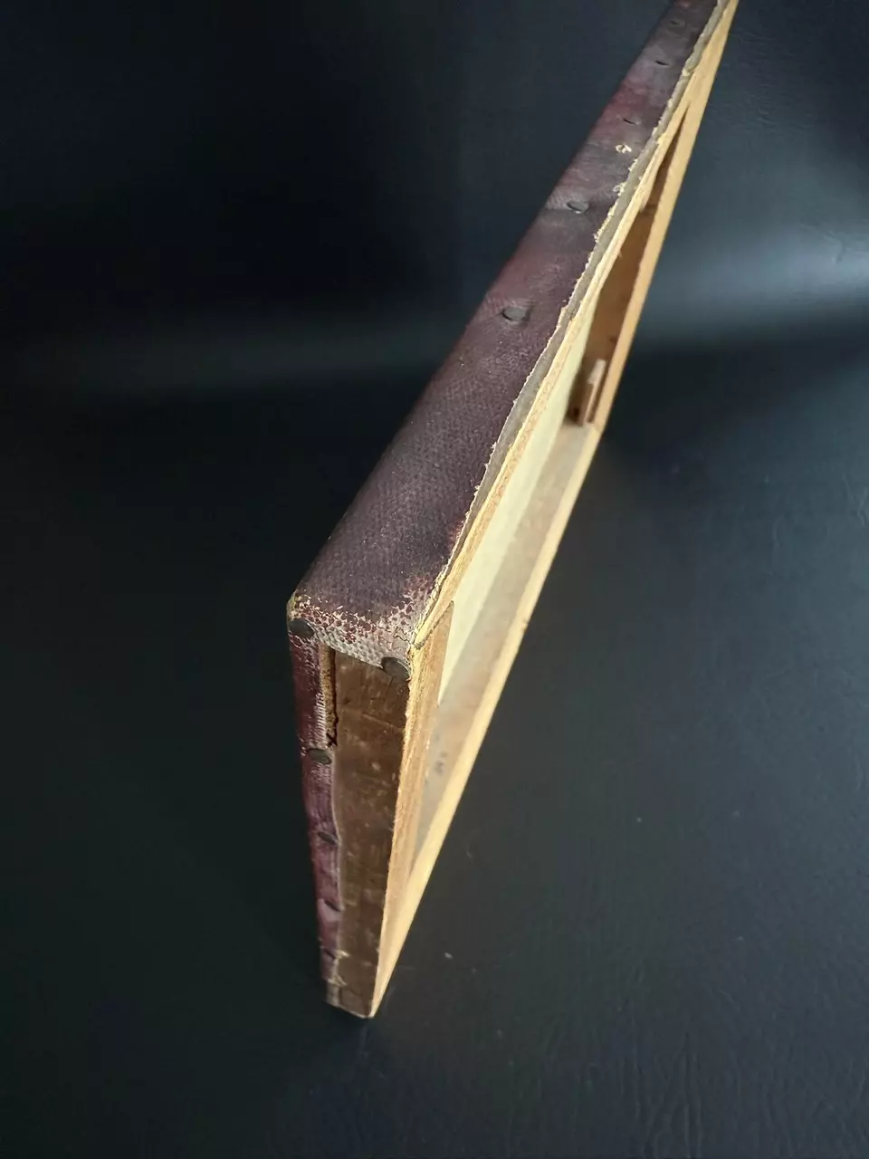 plant/Vintage/Antique Moody Oil Still Life Painting of Fruit-4