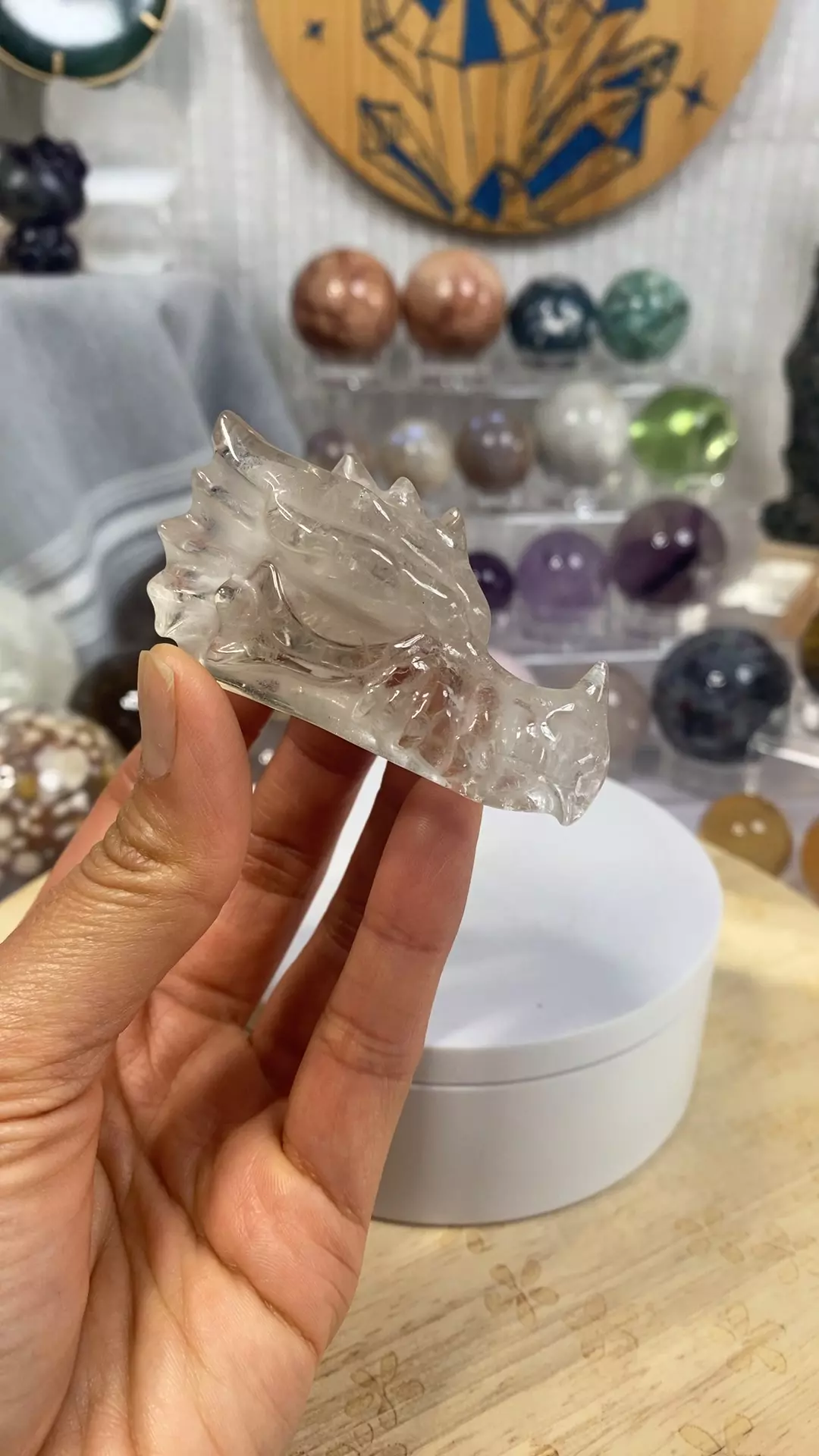 plant/Smokey Quartz dragon head #2826-0