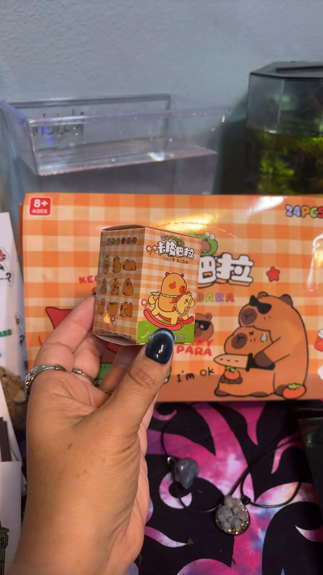 plant/Capy blind box-0