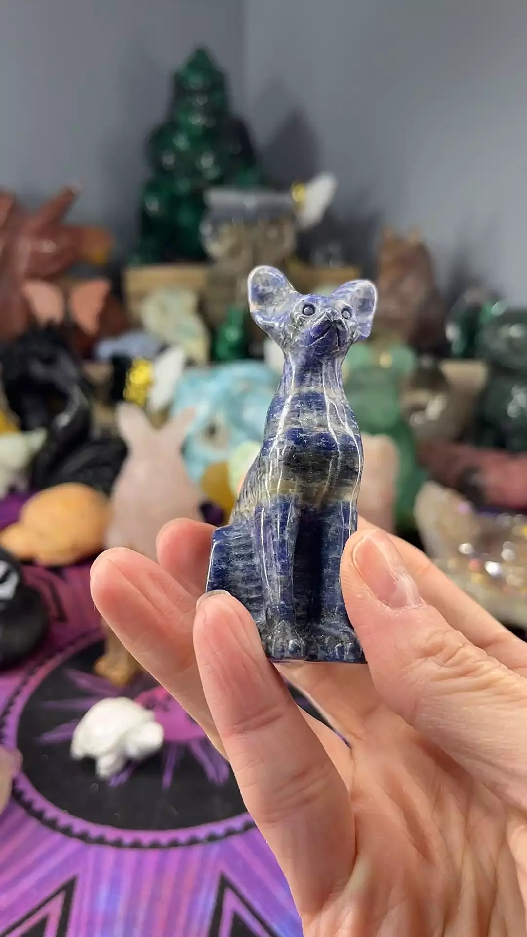 plant/Sodalite Sphinx-0