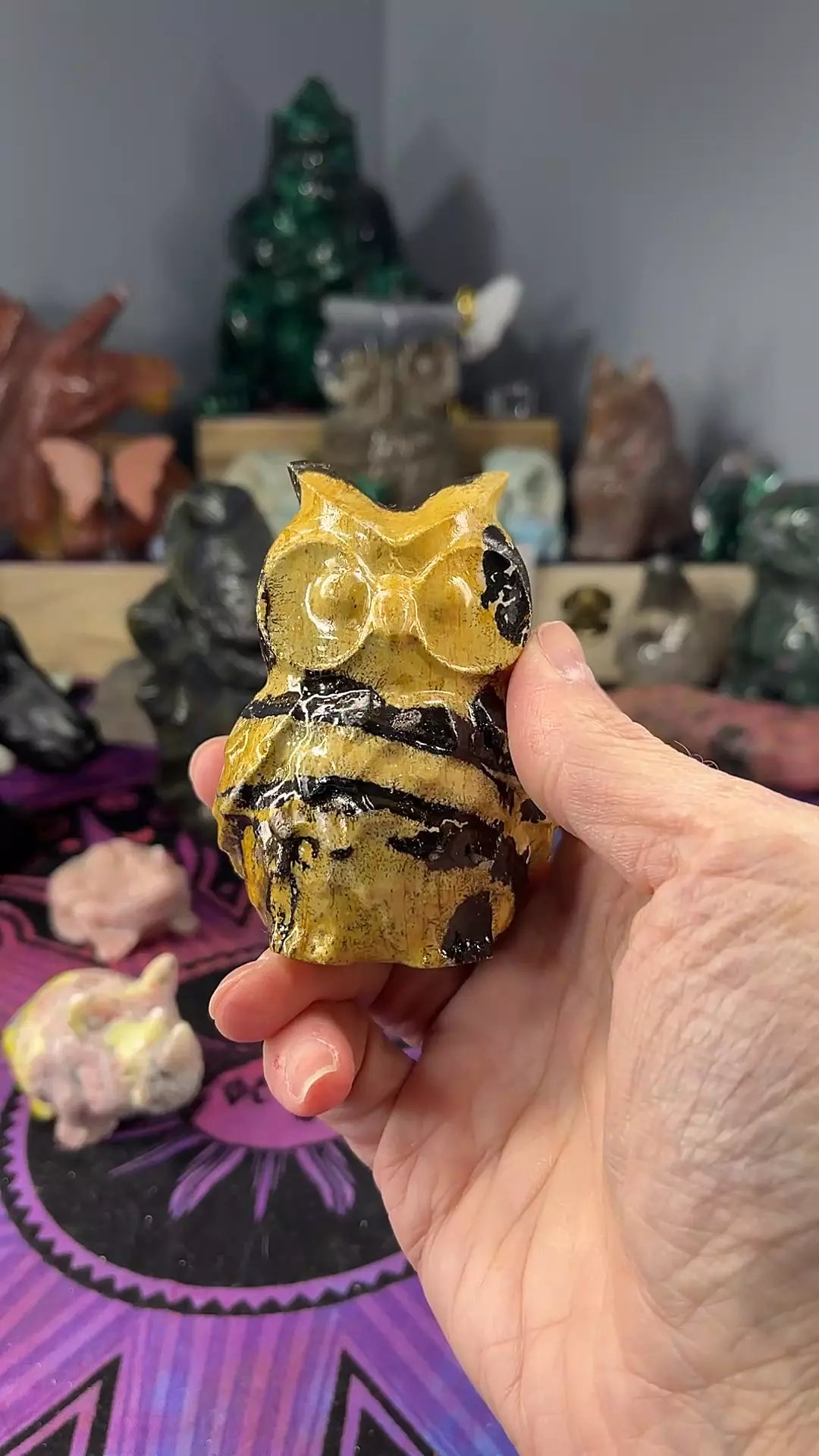 plant/Picture Jasper Owl-0