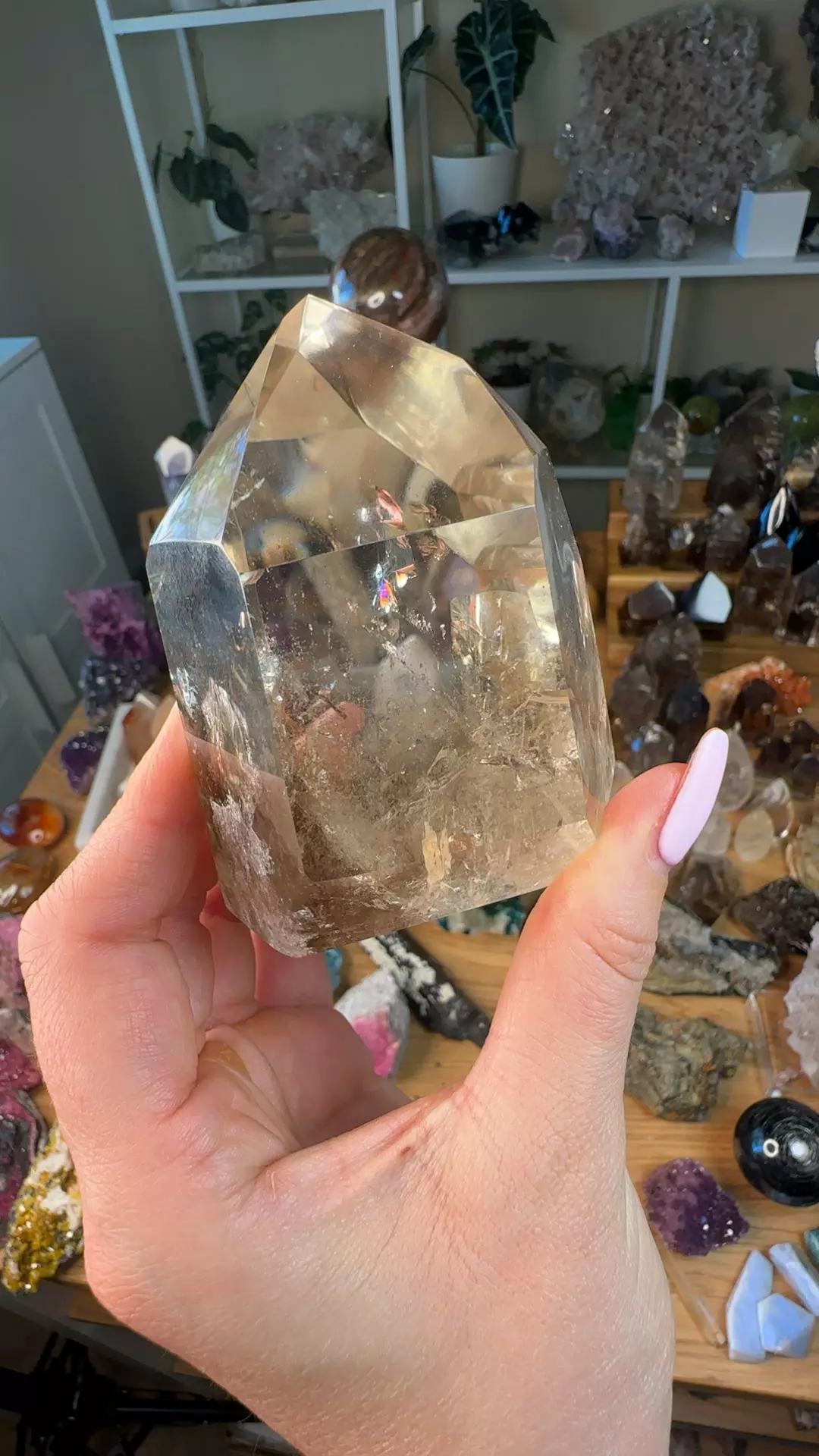 plant/Chunky smoky Quartz-0