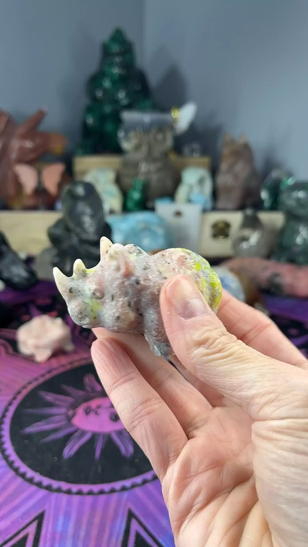 plant/Plum Blossom Rhino-0