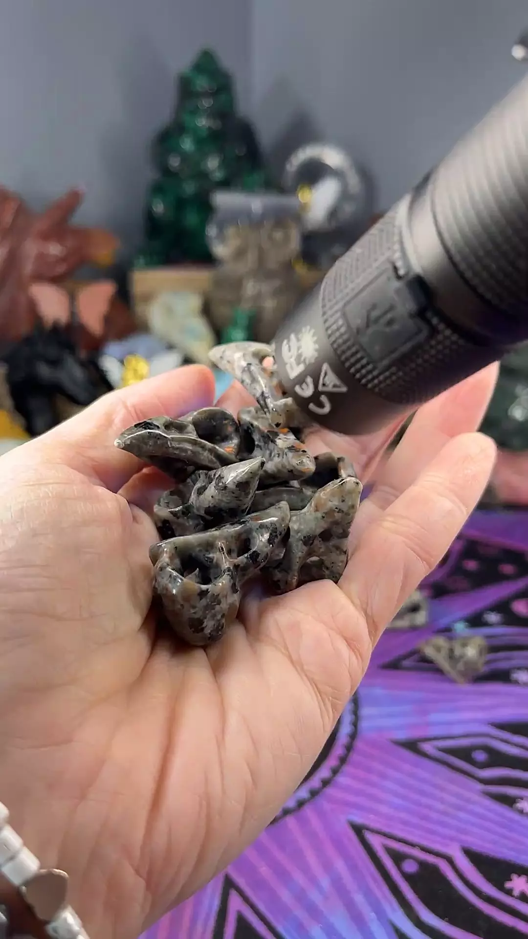 plant/Yoop Bird Skull-0