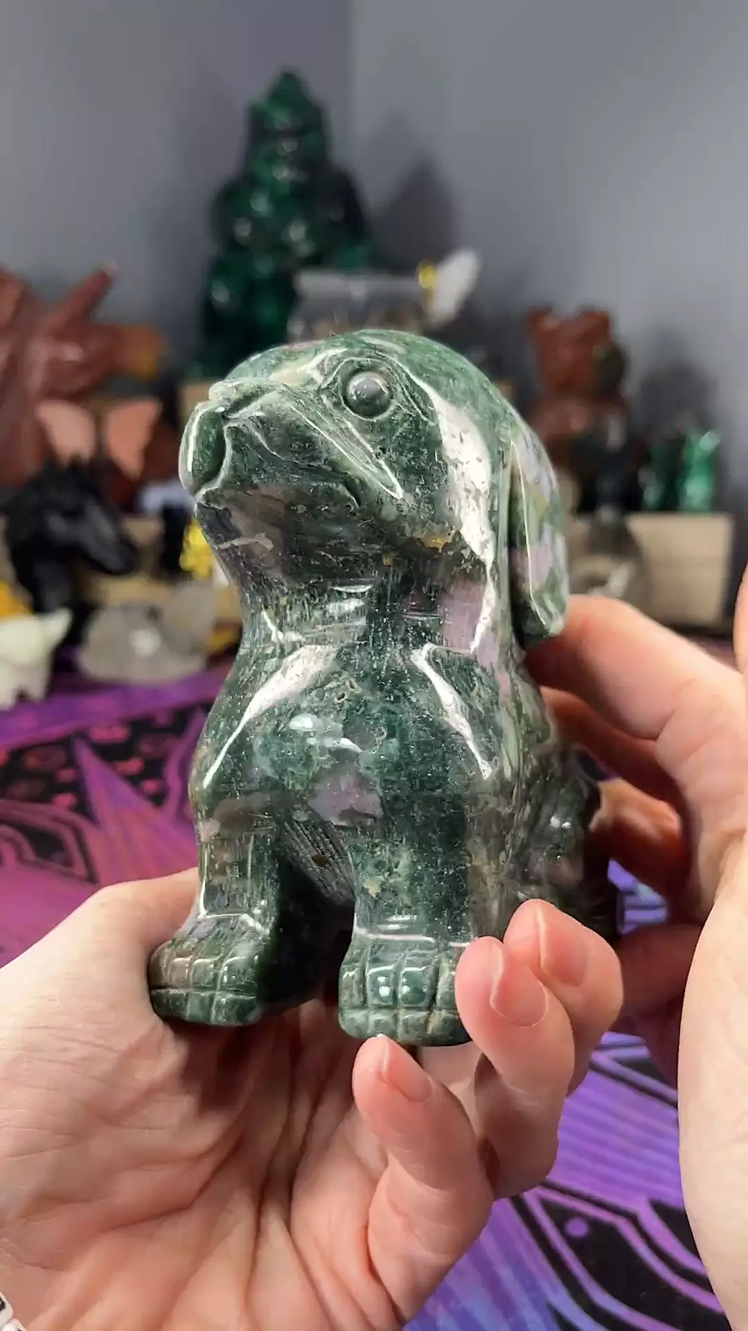 plant/MoJay Pupper-0