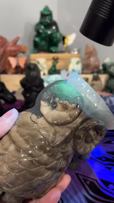 plant/Volcano Owl-0-thumbnail