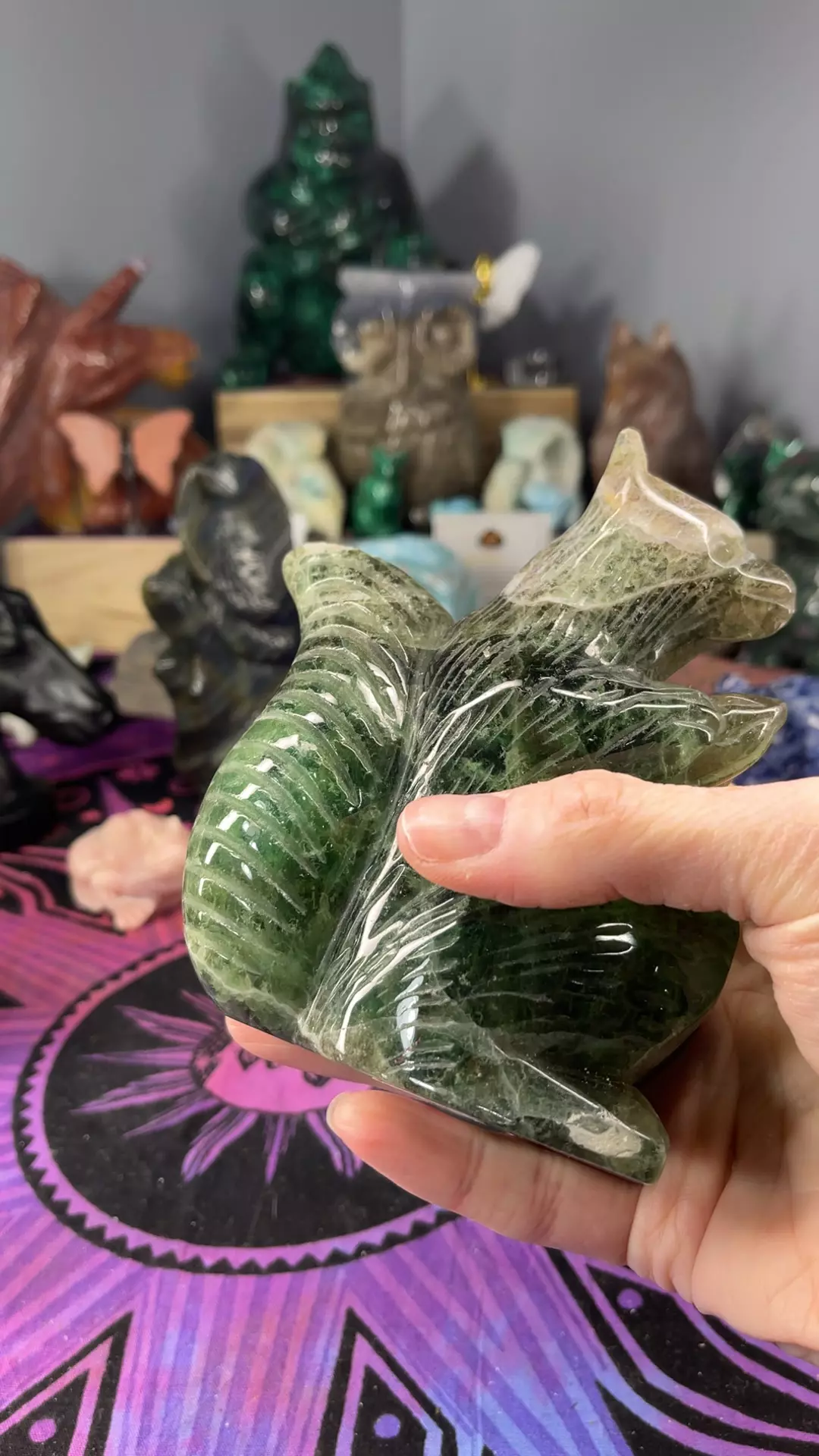 plant/Squirrel-0