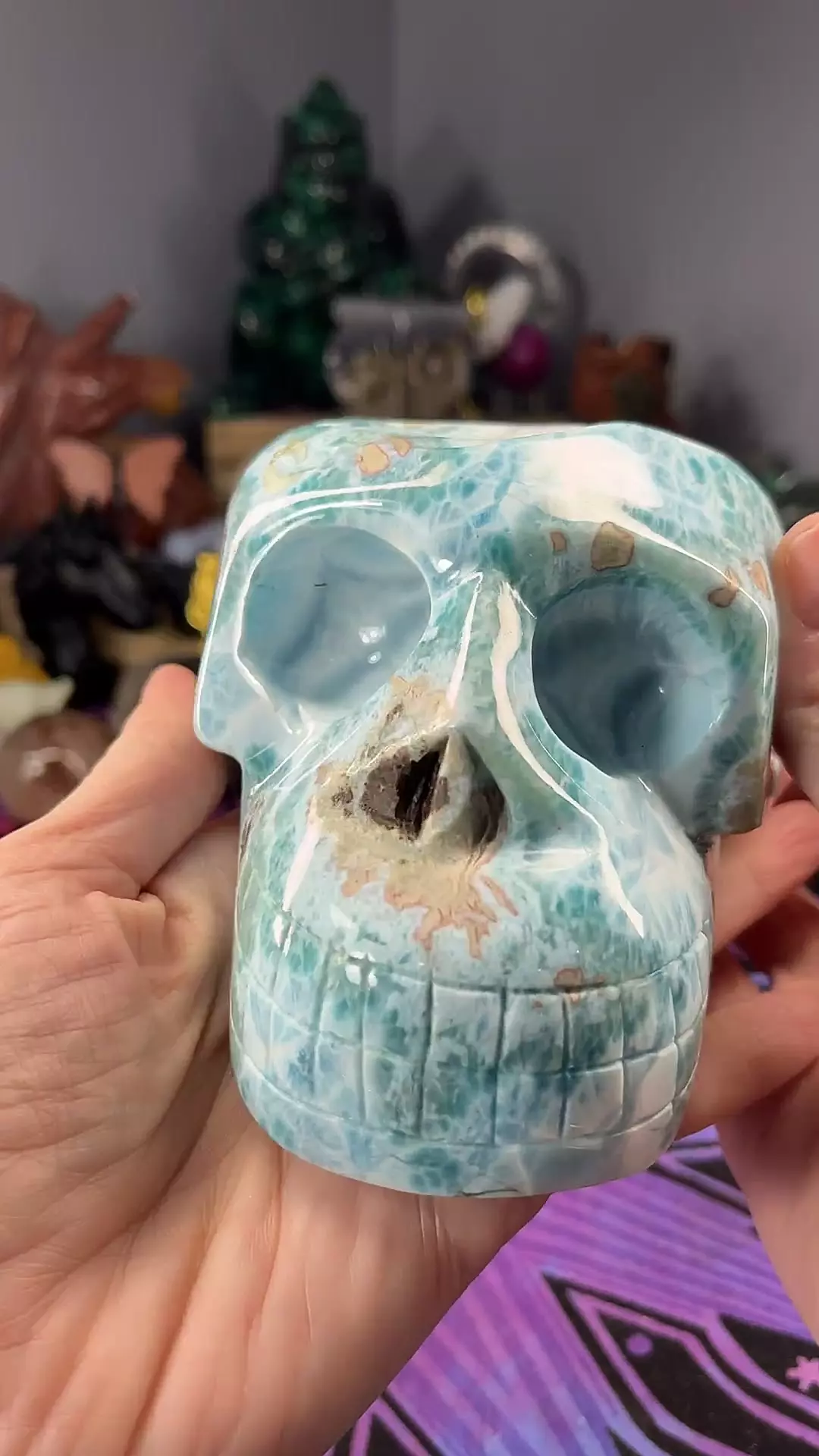 plant/Larimar Monkey Skull-0