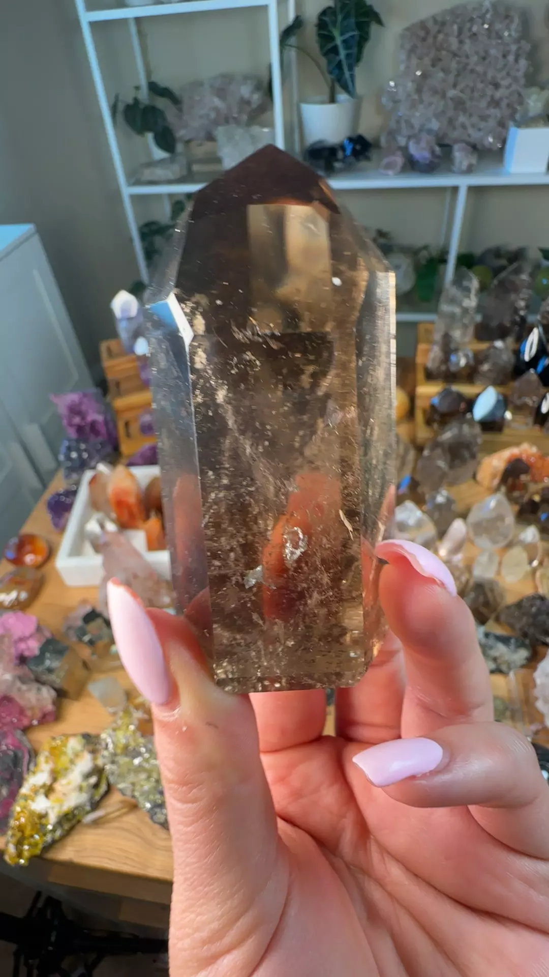 plant/AAASmoky Quartz-0