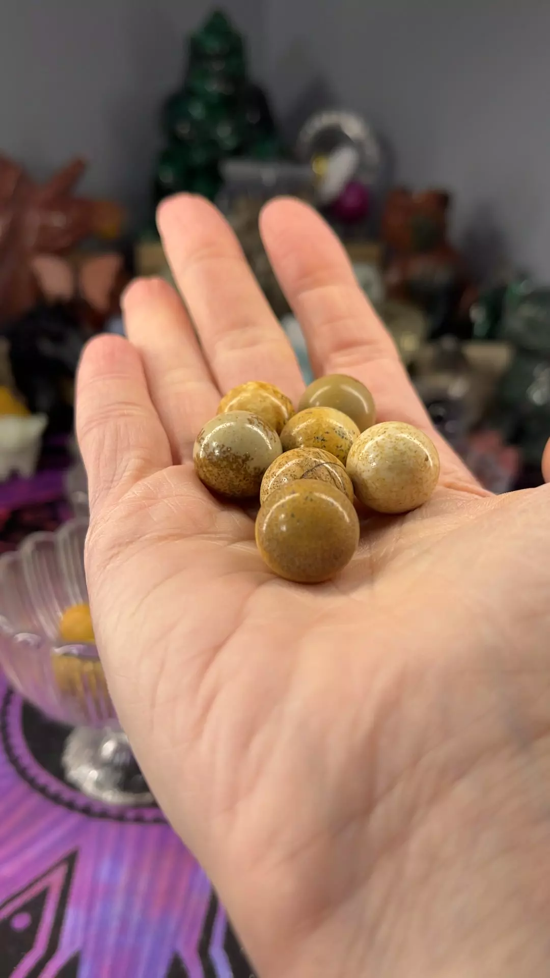 plant/Picture Jasper-0