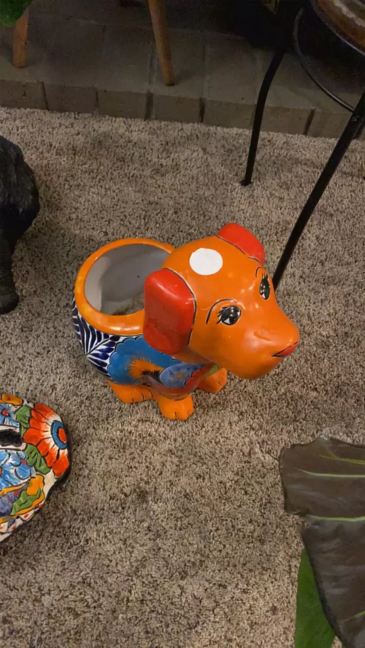 plant/Mexican Pottery Puppy Dog-0