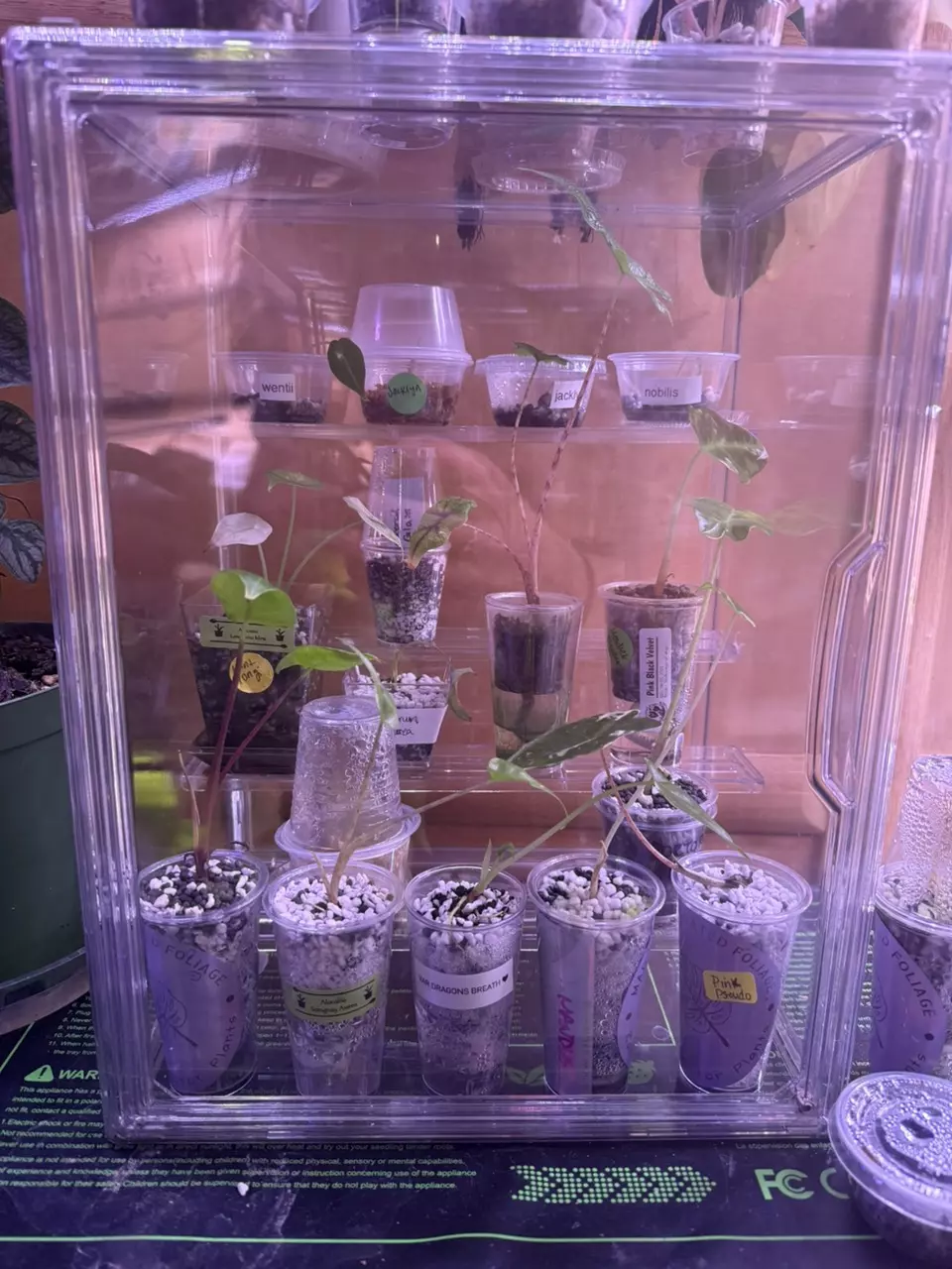 plant/Prop Box-0