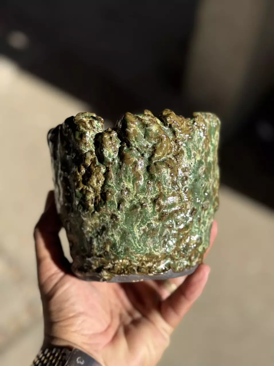 plant/Forest 5x4.5H-0