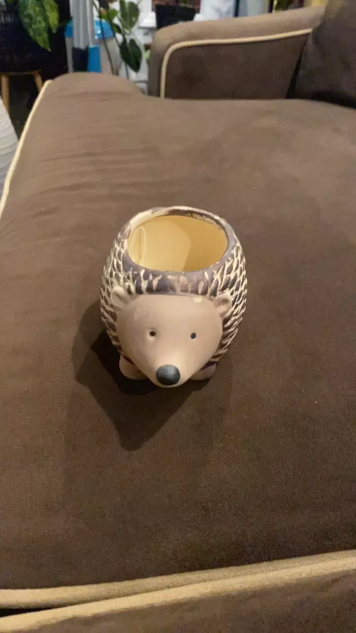 plant/Porcine Cache Pot-0