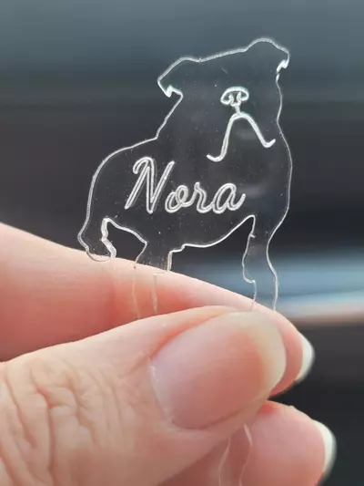 plant/PIN#2-2 custom Nora acrylic pins-0-thumbnail
