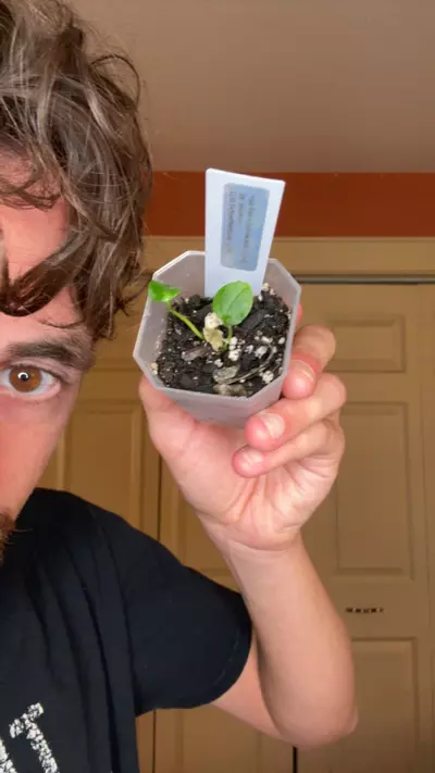 plant/Indo port X (narrow AOS X Carla)-0-thumbnail