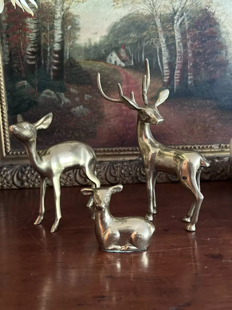 plant/Family set of 3 (small Doe)-0