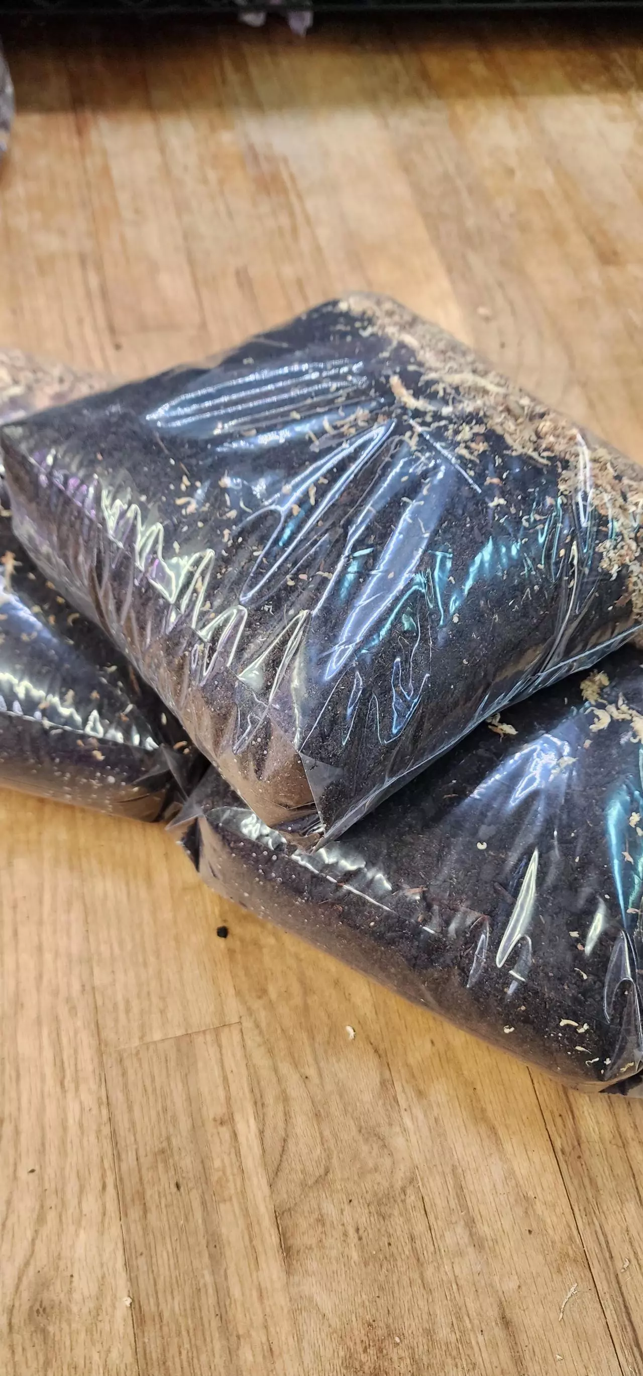 plant/bioactive substrate-1