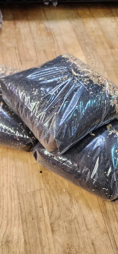 plant/bioactive substrate-1-thumbnail