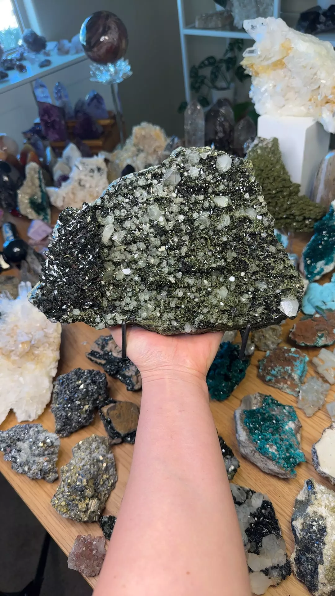 plant/Statement epidote 600-0
